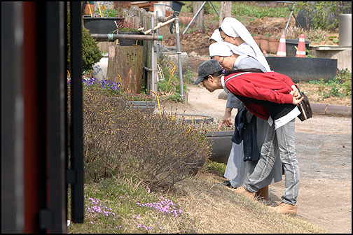 이렇게 코끝으로 다가오던 봄날이 저만치 가버렸습니다. 